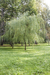 Similar image 5560382