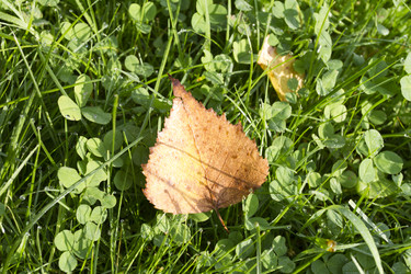 Similar image 5560383