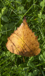 Similar image 5560390