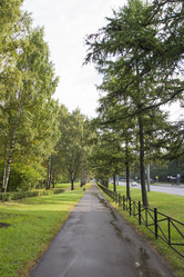 Similar image 5560405