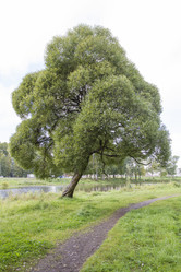 Similar image 5560419