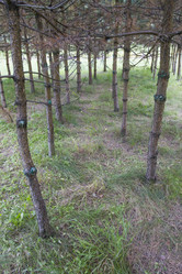 Similar image 5560423