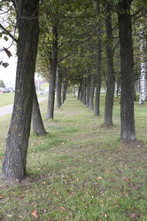 Similar image 5560426