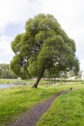 Similar image 5560427