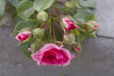 Similar image 5560457