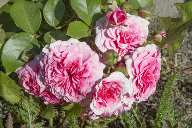 Similar image 5560458