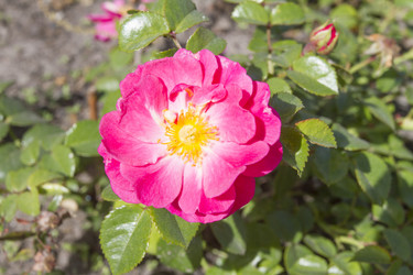 Similar image 5560462