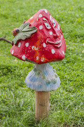 Similar image 5560470