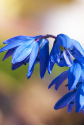 Similar image 5560473