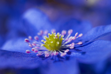 Similar image 5560474