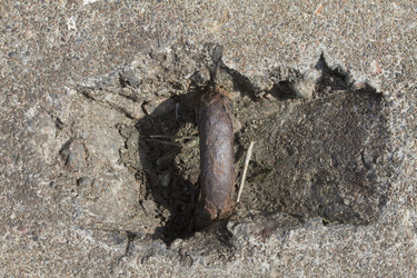 Similar image 5560483