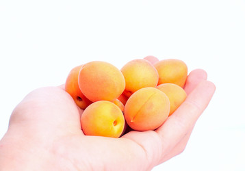 Similar image 5560491