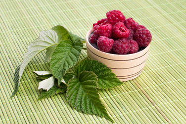 Similar image 5560492