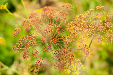 Similar image 5560499