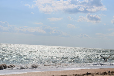 Similar image 5560503