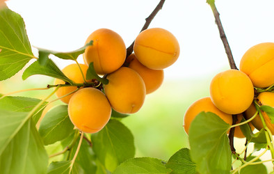 Similar image 5560506