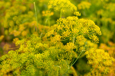 Similar image 5560507