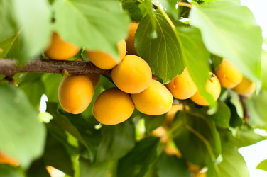 Similar image 5560514