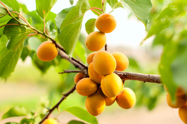 Similar image 5560515