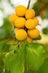 Similar image 5560516