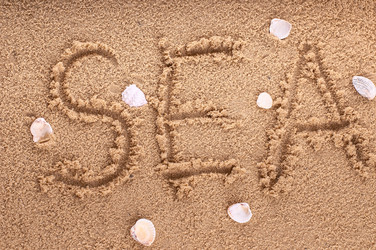 Similar image 5560525