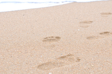 Similar image 5560542