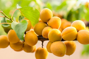 Similar image 5560544