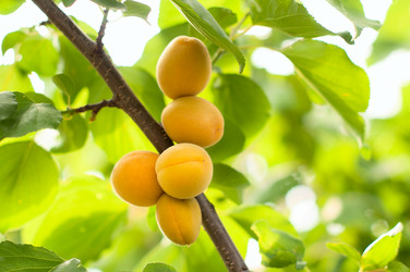 Similar image 5560545