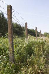 Similar image 5560560