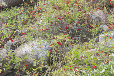 Similar image 5560562