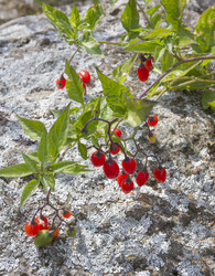 Similar image 5560566