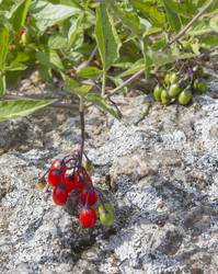 Similar image 5560567