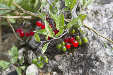 Similar image 5560571