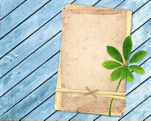 Similar image 5560575