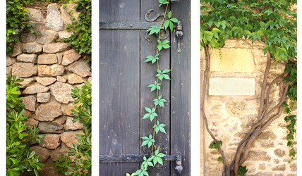 Similar image 5560610