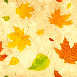 Similar image 5560616