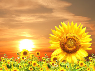 Similar image 5560618