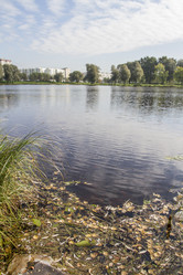 Similar image 5560625