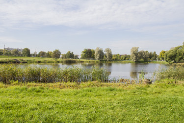 Similar image 5560626