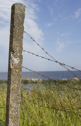 Similar image 5560631