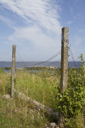 Similar image 5560632