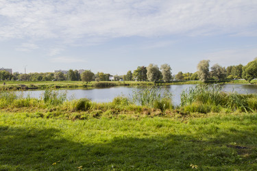 Similar image 5560634