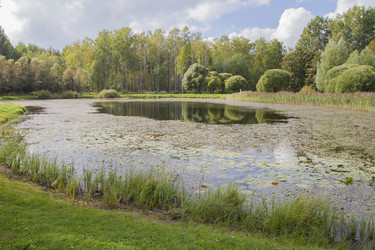 Similar image 5560642