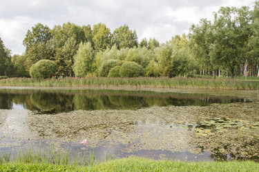 Similar image 5560644