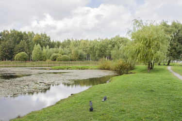 Similar image 5560646