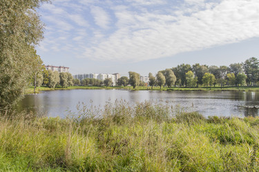 Similar image 5560649