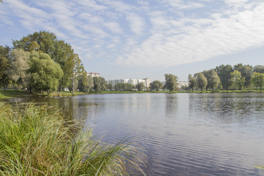 Similar image 5560651