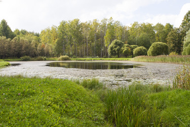 Similar image 5560653