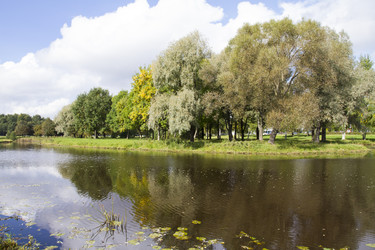 Similar image 5560659