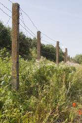 Similar image 5560668